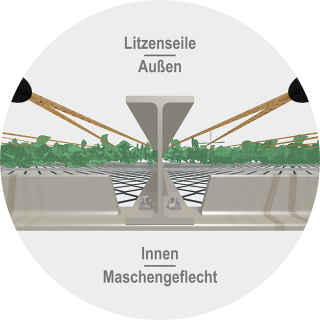 SOLIDOS mit Litzenseilen zur Begrünung